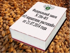 «Первичные» вредители зерна «Первичные» вредители зерна