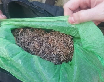 В Кузбассе у пассажира автобуса изъяли партию марихуаны
В Кузбассе у пассажира автобуса изъяли партию марихуаны