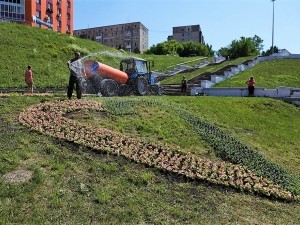 В Кузбассе высадили цветочную композицию в виде сердца — одного из символов Года семьи В Кузбассе высадили цветочную композицию в виде сердца — одного из символов Года семьи