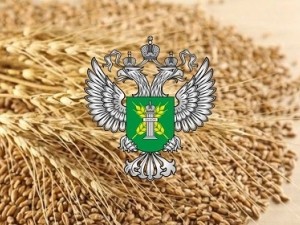 Специалисты Росельхознадзора напоминают о требованиях к хранению зерновой продукции, предназначенной для экспорта в Китайскую Народную Республику Специалисты Росельхознадзора напоминают о требованиях к хранению зерновой продукции, предназначенной для экспорта в Китайскую Народную Республику