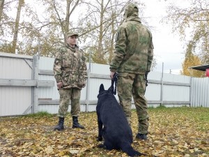 В Кемерове кинологи спецназа Росгвардии исполнили мечту школьника, желающего стать профессиональным военным