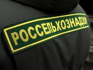 В Кемеровском муниципальном округе Кузбасса в результате исполнения предписаний Россельхознадзора 6,5 га введено в сельхозоборот В Кемеровском муниципальном округе Кузбасса в результате исполнения предписаний Россельхознадзора 6,5 га введено в сельхозоборот