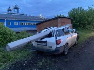Житель Кузбасса, лишённый водительских прав, решил пьяным съездить на автомобиле за кормом для собаки Житель Кузбасса, лишённый водительских прав, решил пьяным съездить на автомобиле за кормом для собаки