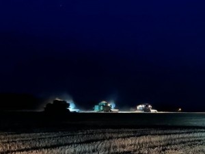 Близится к завершению уборочная страда в Тяжинском округе