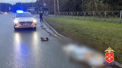 В Кемерове пенсионерка погибла под колёсами автобуса (видео) В Кемерове пенсионерка погибла под колёсами автобуса (видео)