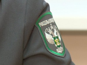 В Кузбассе Россельхознадзор предостерег предприятия не погасившие карантинные сертификаты