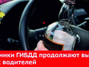 Новокузнечане праздновали, пили и  не стеснялись садиться в состоянии опьянения за руль