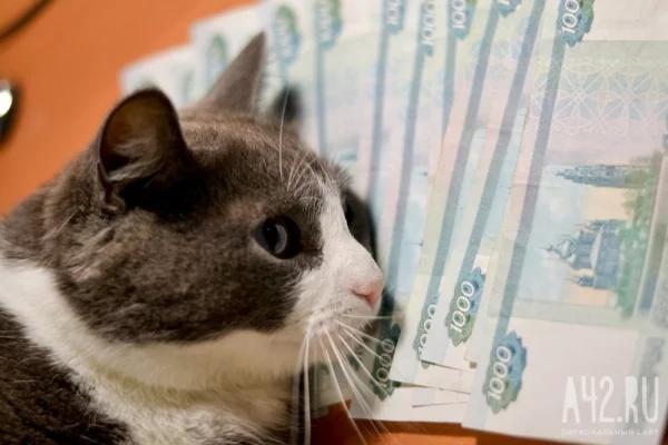 В Кемерове 12-летний школьник отдал мошенникам 2 миллиона рублей
В Кемерове 12-летний школьник отдал мошенникам 2 миллиона рублей