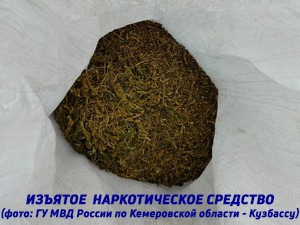 62-летний инвалид из Кузбасса направлен в колонию за хранение около полутора килограммов марихуаны 62-летний инвалид из Кузбасса направлен в колонию за хранение около полутора килограммов марихуаны