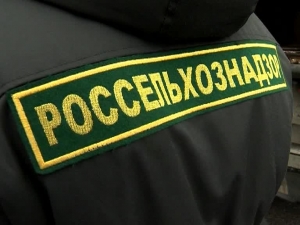 Россельхознадзор информирует о новых возможностях получения услуг ведомства на ЕПГУ