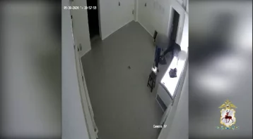 
В Нижнем Новгороде двое безработных украли 100 пачек пельменей
