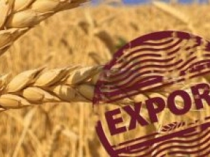 В первом полугодии 2024 года основными импортерами зерновой продукции из Кузбасса стали Китай, Беларусь и Казахстан