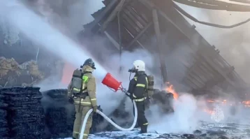 В Рязани на предприятии загорелся битум, площадь пожара — 700 квадратных метров
В Рязани на предприятии загорелся битум, площадь пожара — 700 квадратных метров