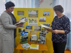 В селе Новопокровка открылась выставка &laquo;Тяжинский край родной&raquo;