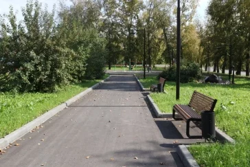 
Власти Кемерова показали кадры отремонтированного сквера в Боровом
