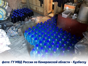 Житель Кузбасса заплатит 100 тысяч рублей за незаконный оборот спиртосодержащей продукции